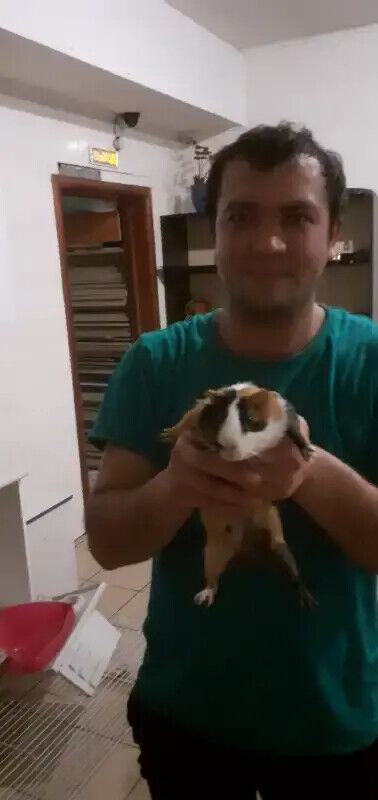 ���������� �����������, ���� ������� ����, 37 ���, ������������ ��� ������, ����� � ���������, c�������� ���������, ���������