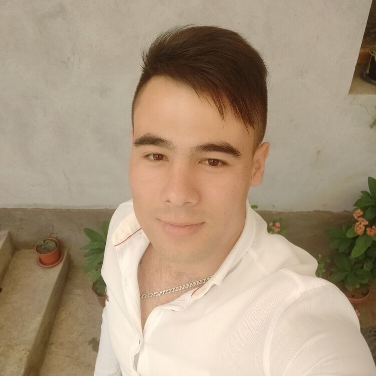 ���� 21852706 ������� Shoh, 31 ���, ���� ���������� � ��������