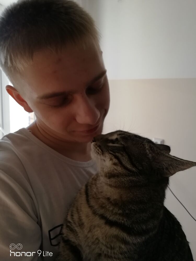 ���� 27833536 ������� �����, 29 ���, ���� ���������� � ����������