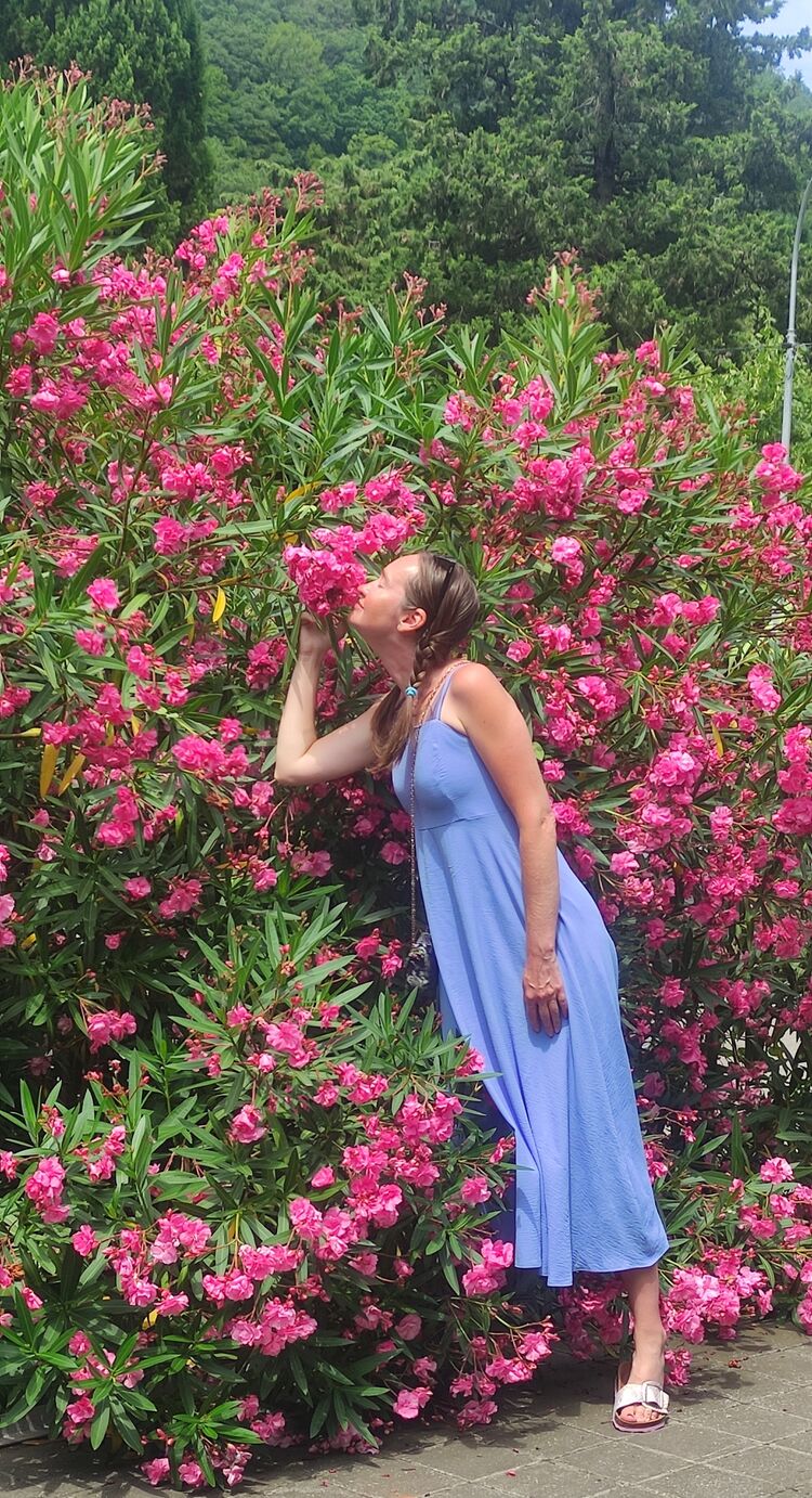 ���������� ������, ���� ������� �������, 42 ����, ������������ 