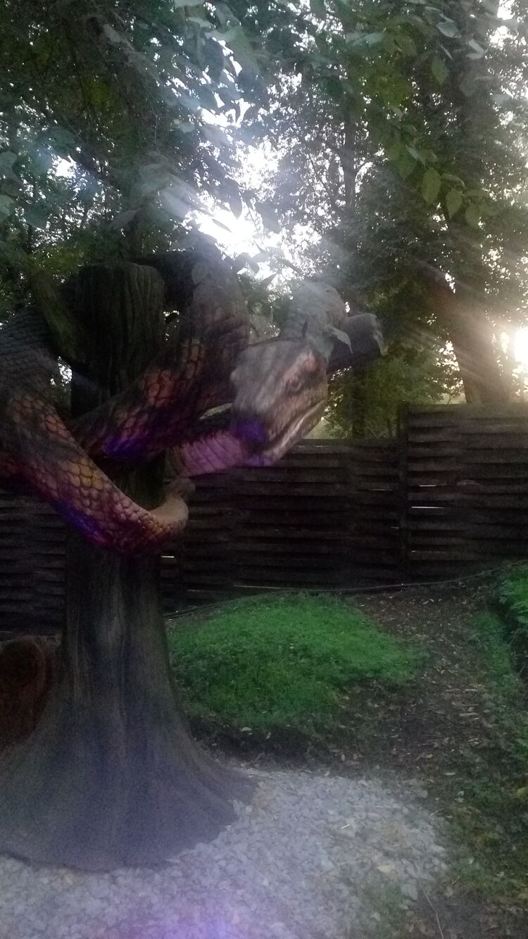 ���� 24940736 ������� �������, 39 ���, ���� ���������� � ���������������