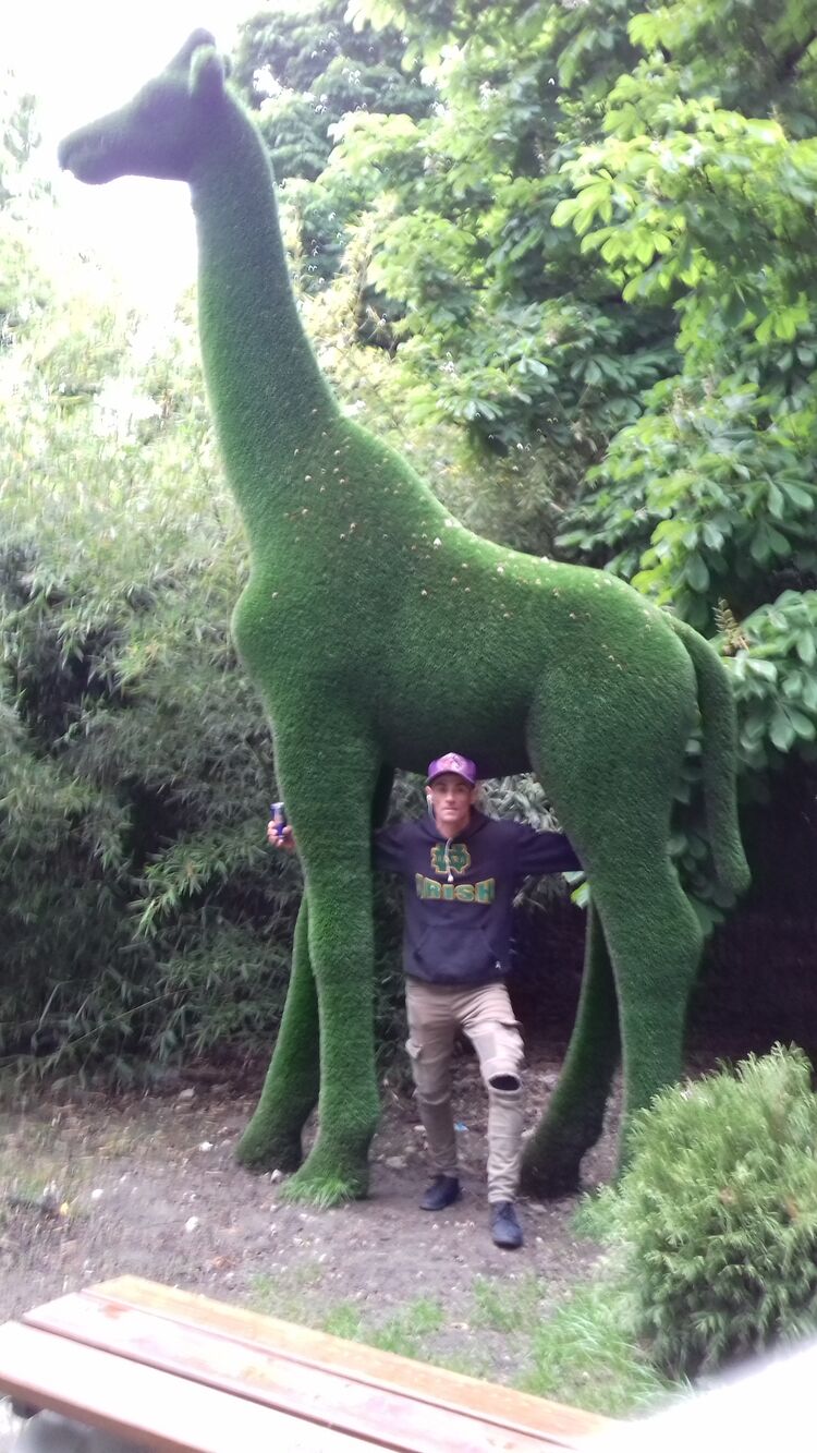 ���������� ���������, ���� ������� ������, 35 ���, ������������ ��� ������, ����� � ���������