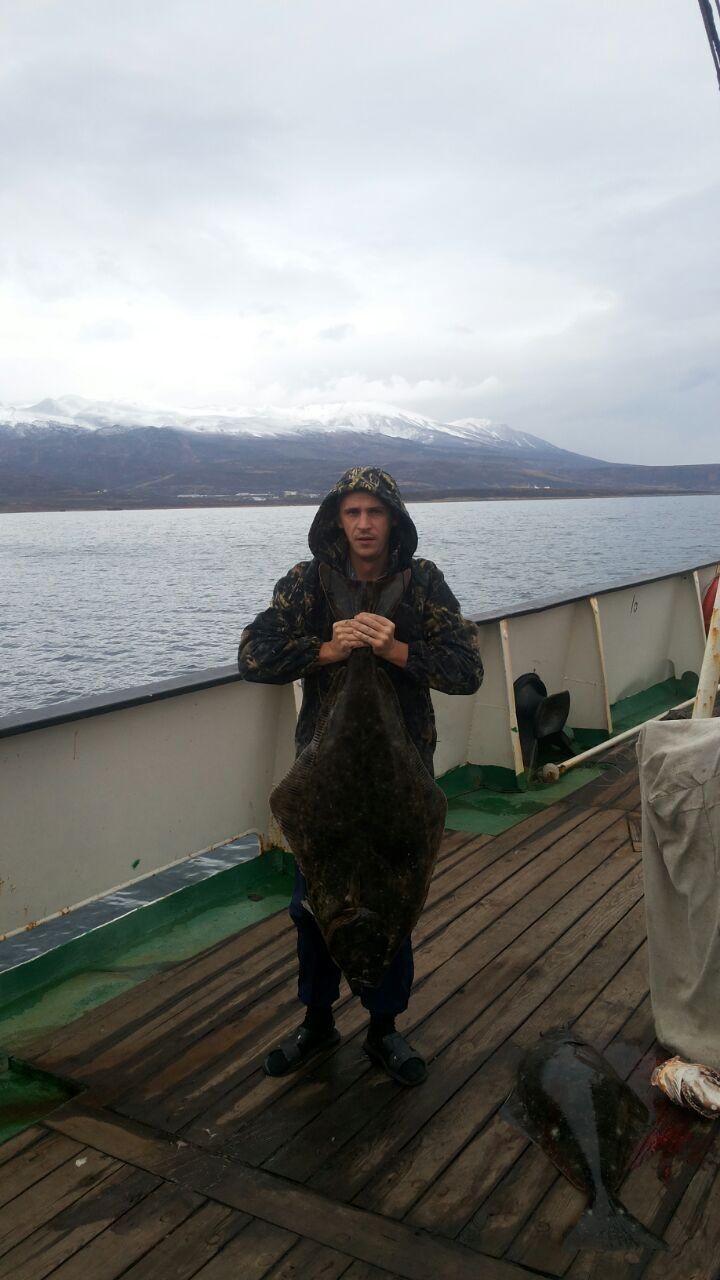 ���� 50103656 ������� ������, 46 ���, ���� ���������� � ������