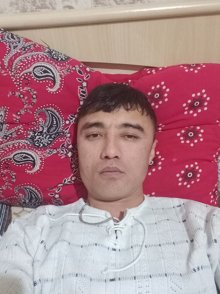  33314586  , 33 ,    