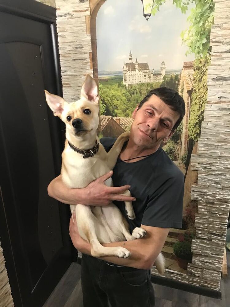 ���������� �����������, ���� ������� ���������, 53 ����, ������������ ��� ������, ����� � ���������