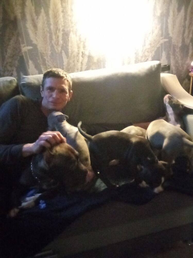 ���������� ���������, ���� ������� ������, 42 ����, ������������ ��� ������, ����� � ���������