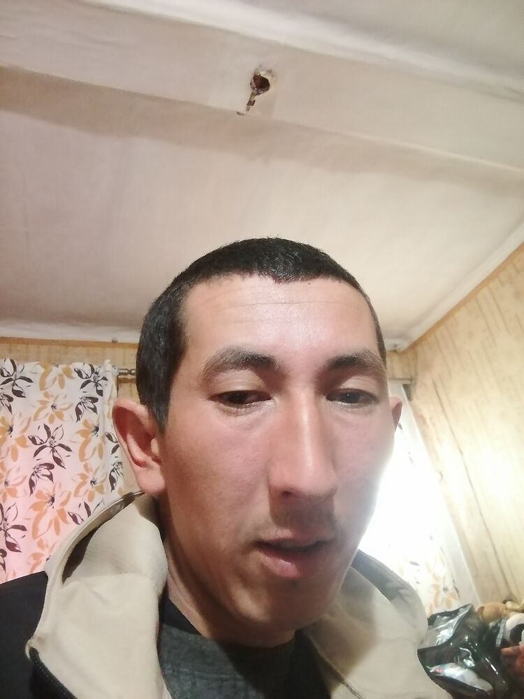  45842736  , 31 ,    