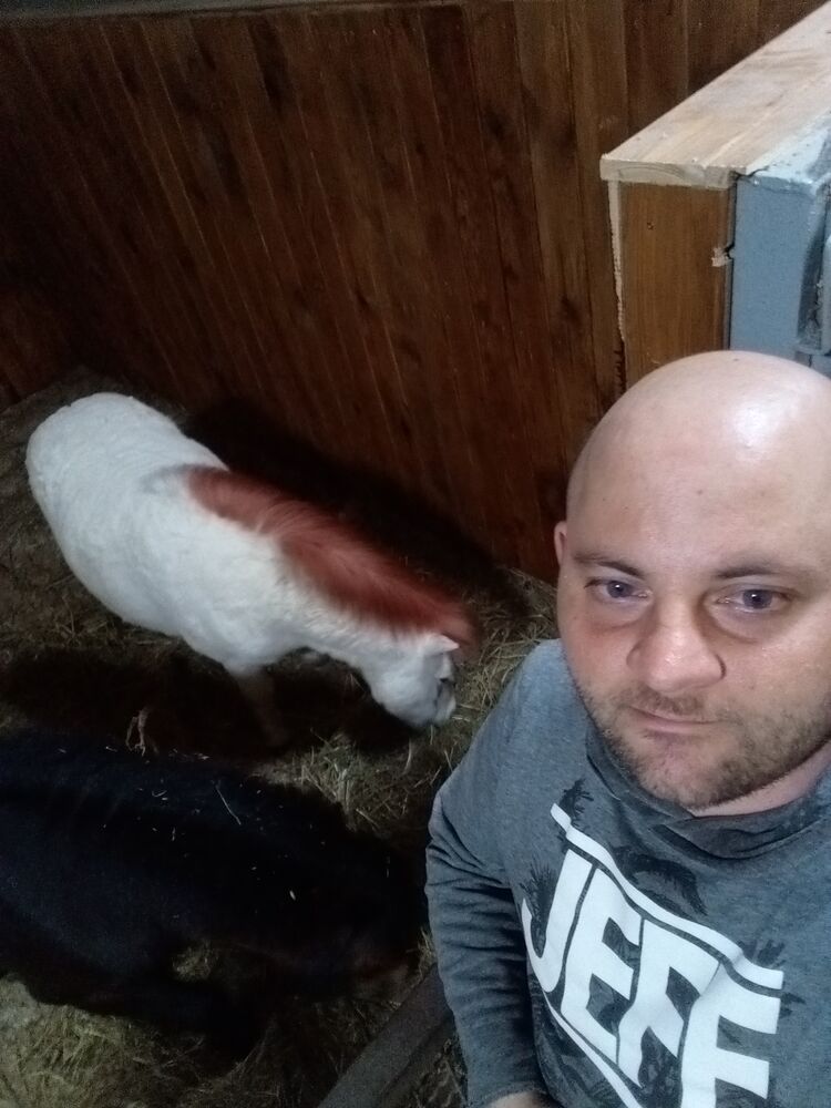 ���������� ��������������, ���� ������� ���������, 32 ����, ������������ ��� ������, ����� � ���������