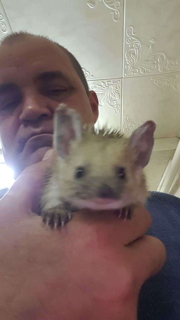  ,   , 49 ,   ,   