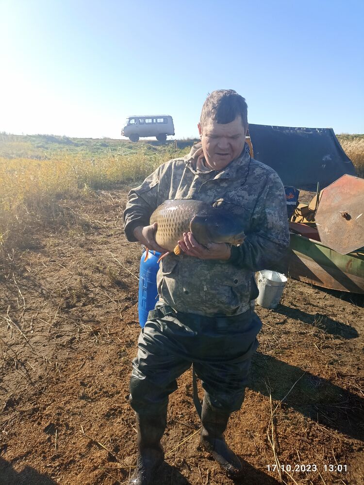 ���� 51626186 ������� �������, 44 ����, ���� ���������� � ����������