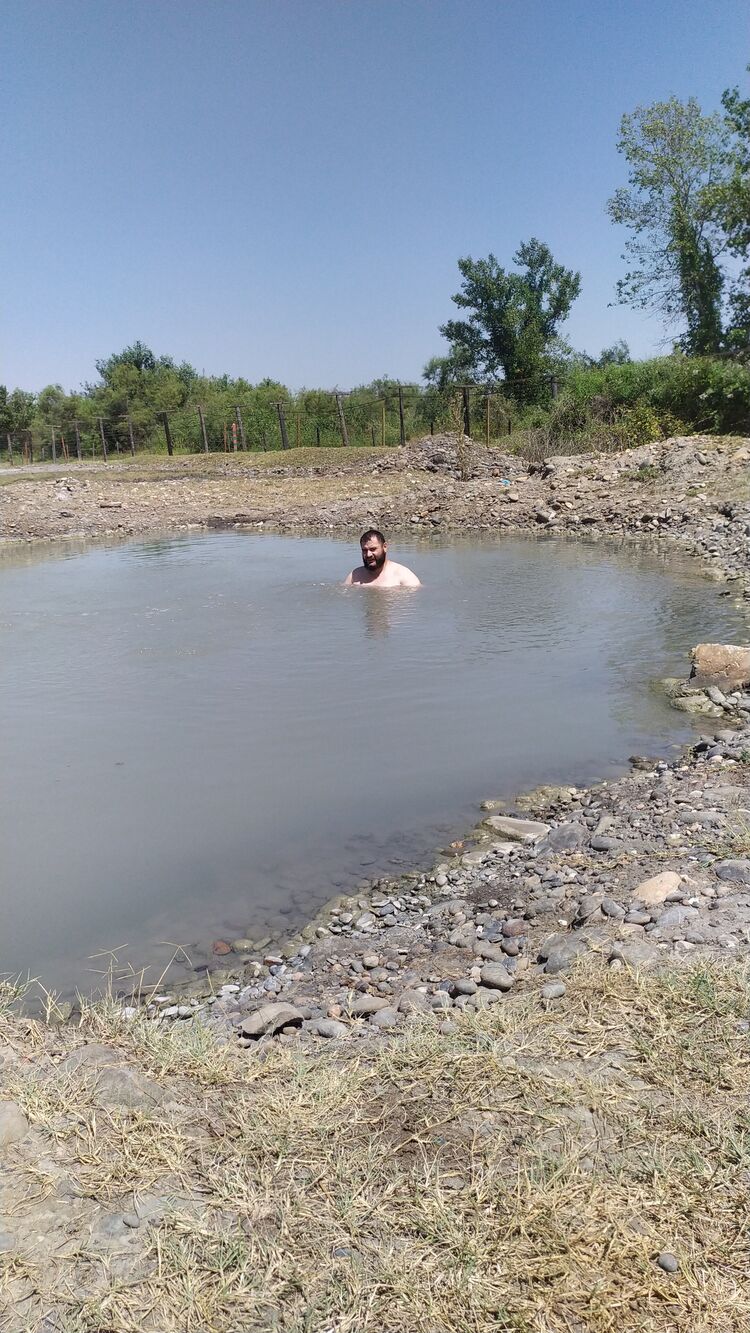  37204576  , 43 ,    