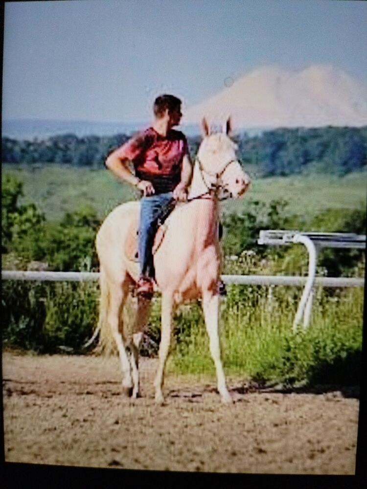 ���������� ���������, ���� ������� ���, 37 ���, ������������ ��� ������, ����� � ���������