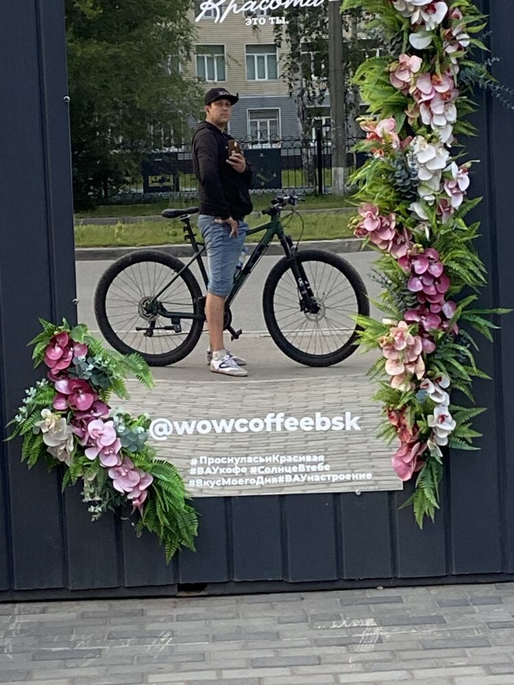  52670086  Anton, 36 ,    