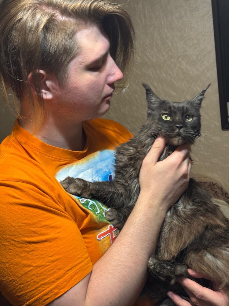 ���������� �����-���������, ���� ����� ������, 25 ���, ������������ ��� ������, ����� � ���������, c�������� ���������