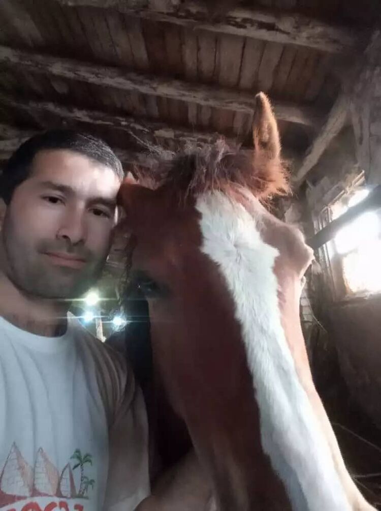 ���� 26533356 ������� ������, 39 ���, ���� ���������� � ������