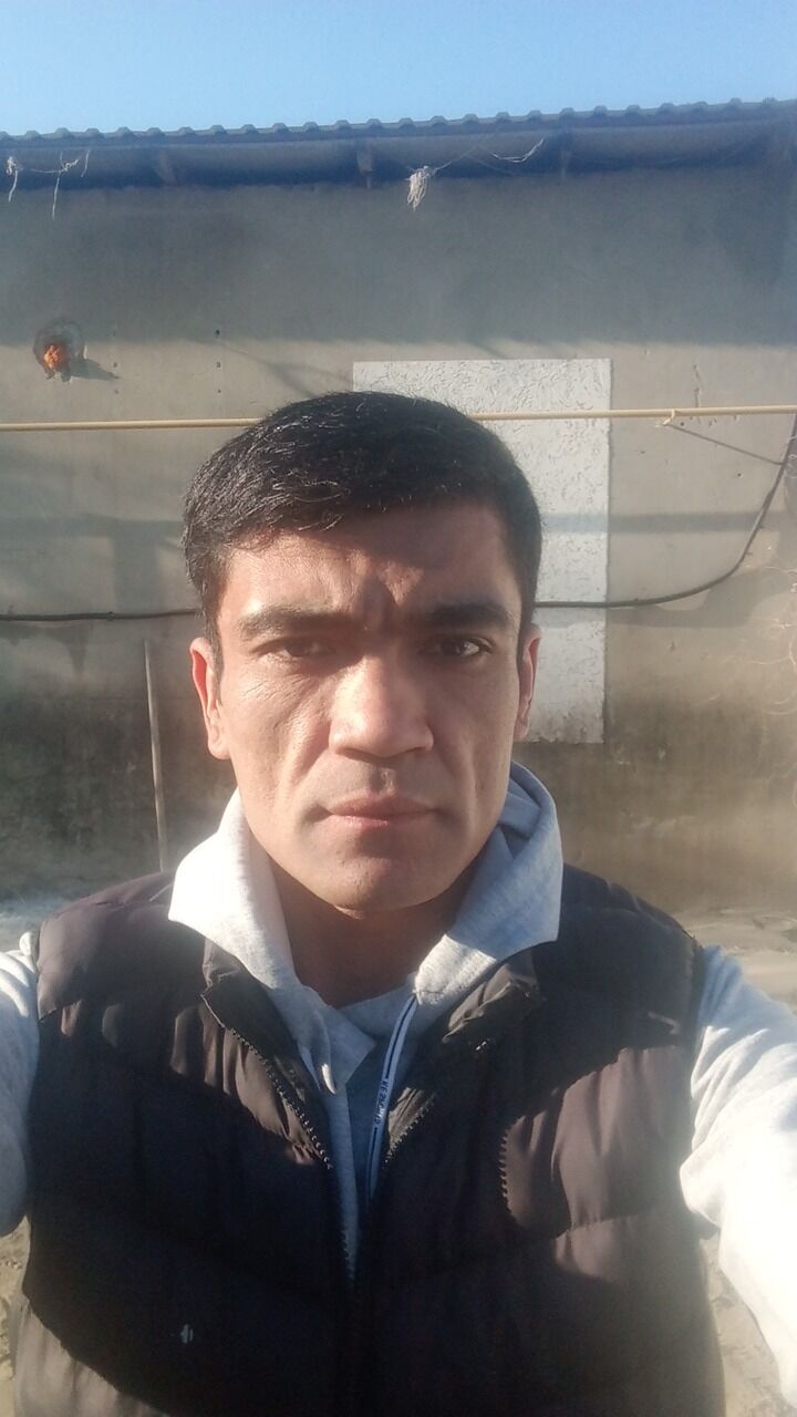  42172506  , 31 ,    