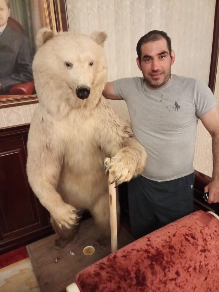 ���� 55900266 ������� �������, 43 ����, ���� ���������� � ������