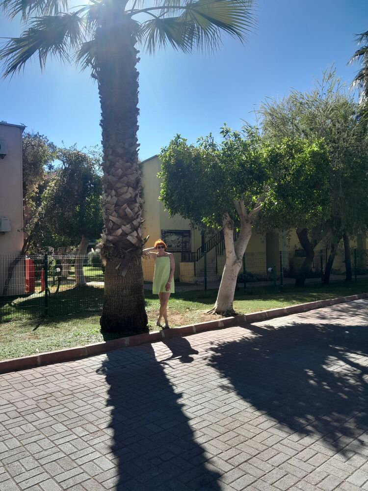  51781406  , 54 ,    