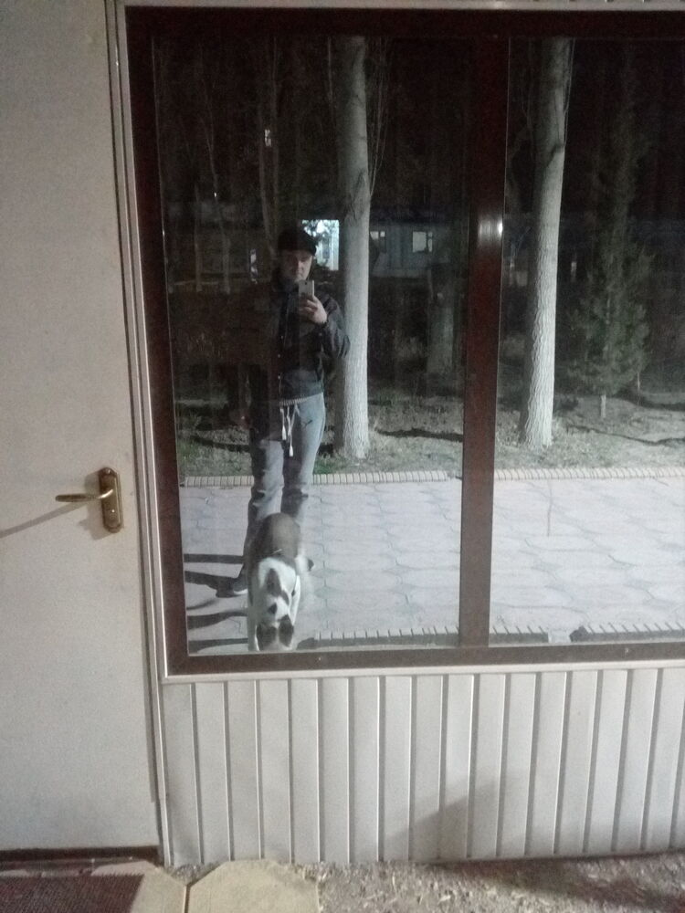 ���� 24210336 ������� �����, 35 ���, ���� ���������� � �������