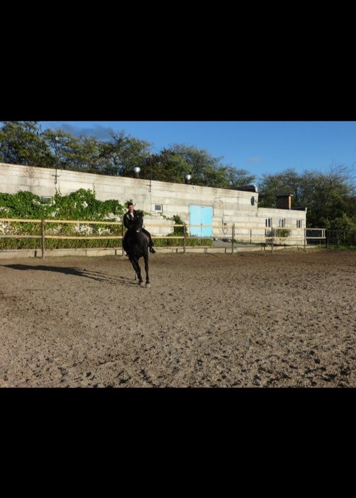 ���������� ������ ���, ���� ������� ���������, 49 ���, ������������ ��� ����� � ���������, c�������� ���������