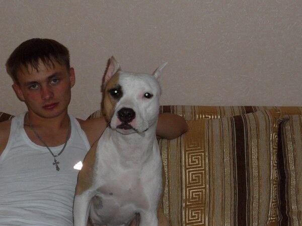 ���������� �������������, ���� ������� ����, 37 ���, ������������ ��� ������