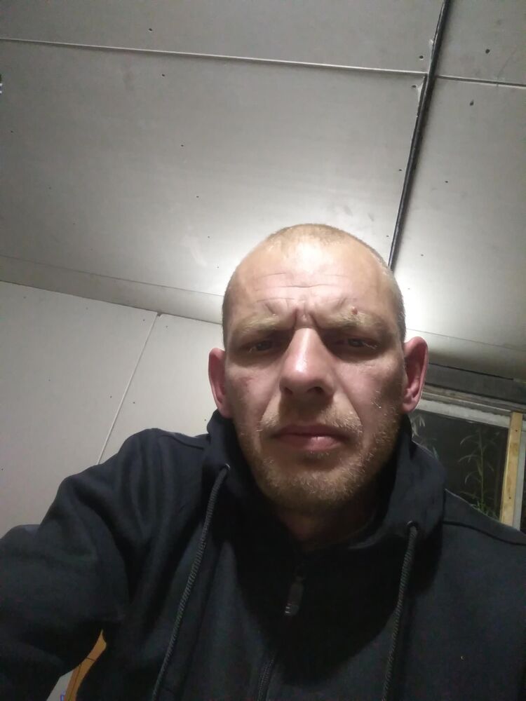  38134416  , 41 ,    