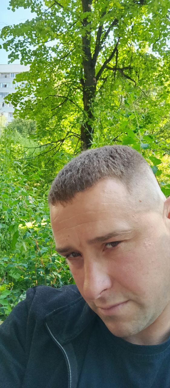  50527646  , 43 ,    