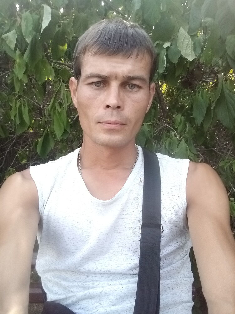  28410556  , 37 ,    