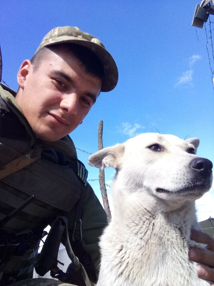  9663086  Vitalik, 31 ,    