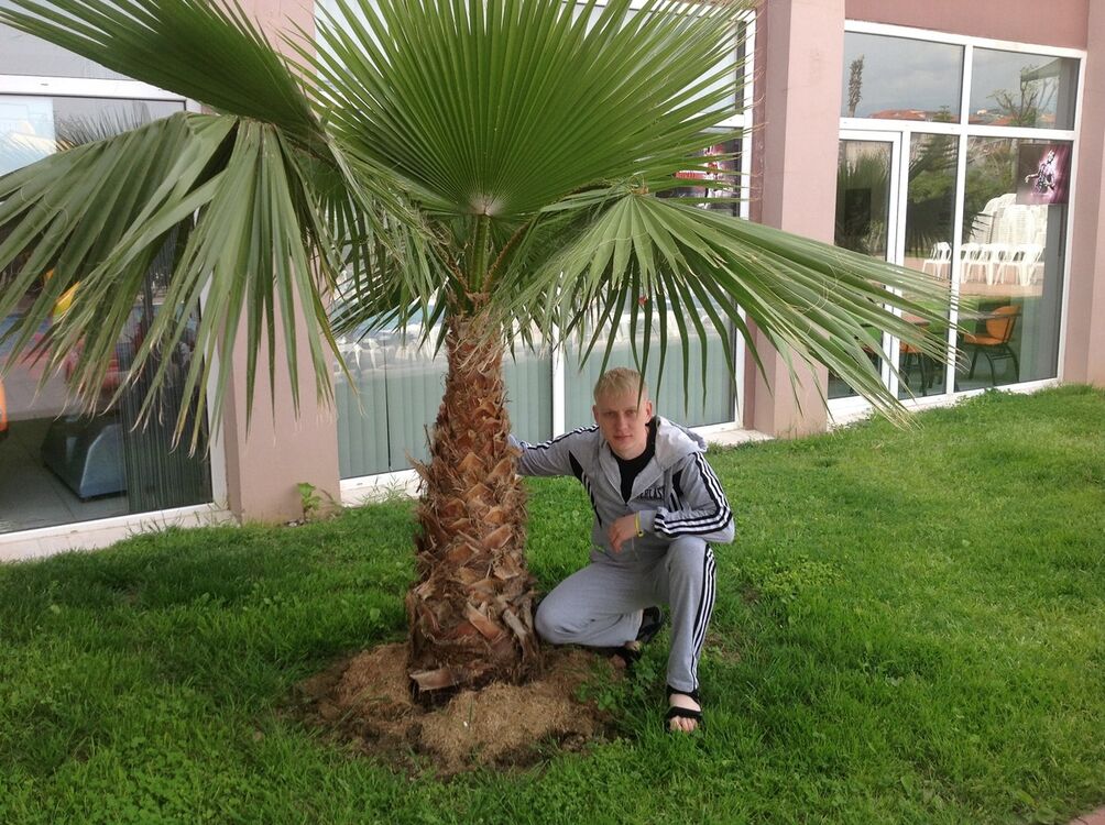 ���������� ��������, ���� ������� ����� ������, 40 ���, ������������ ��� ������, ����� � ���������, c�������� ���������