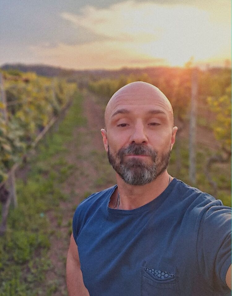 ���� 52556316 ������� �����, 38 ���, ���� ���������� � ��������