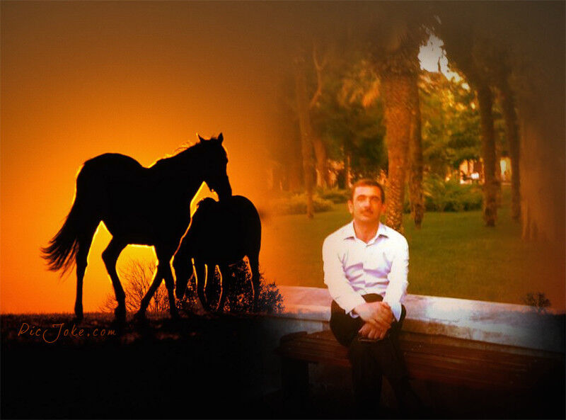 ���� 5655036 ������� Rovshan, 48 ���, ���� ���������� � ����