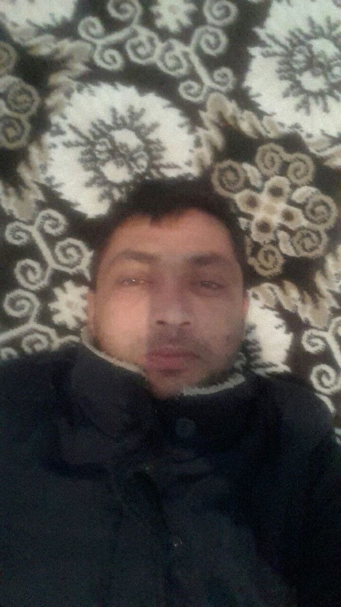  18295656  , 40 ,    