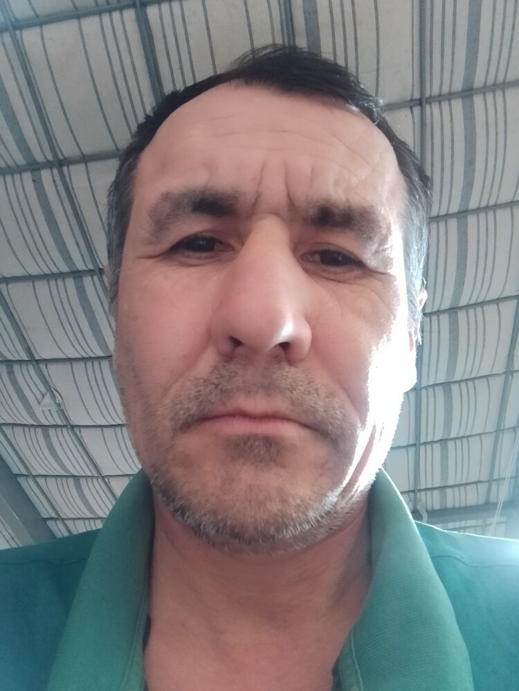 ���� 33123456 ������� ��������, 49 ���, ���� ���������� � �����-����������