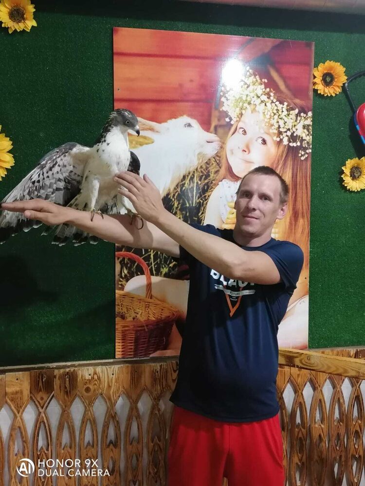 ���� 24490986 ������� �����, 38 ���, ���� ���������� � ������ ������