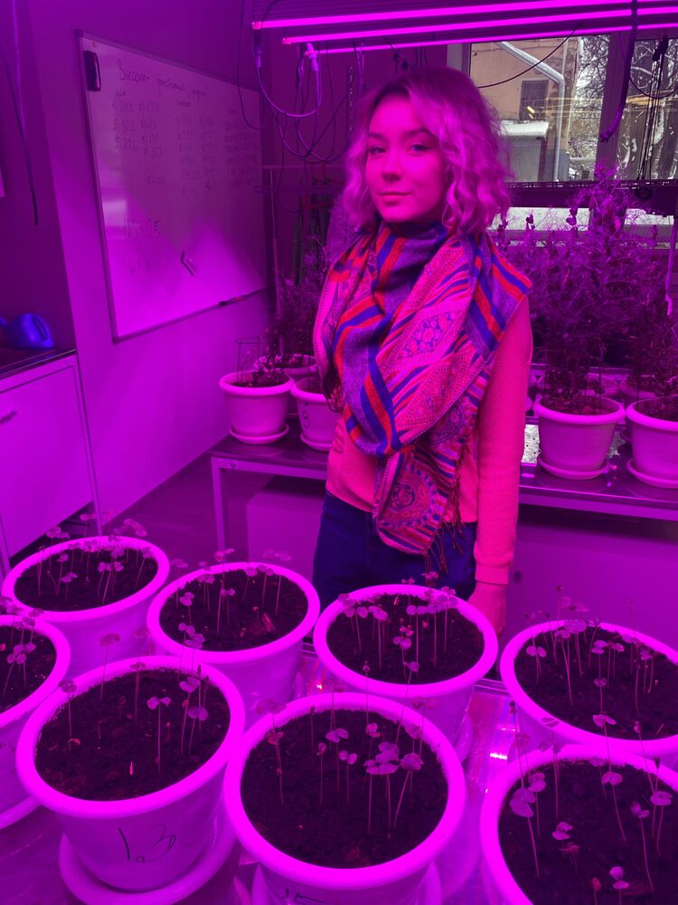 ���������� ������, ���� ������� ������, 24 ����, ������������ ��� ������, ����� � ���������, c�������� ���������