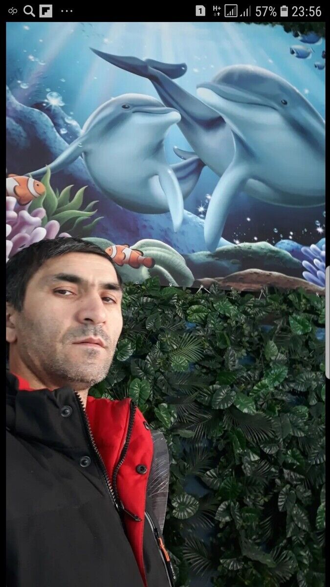  22507196  , 41 ,    