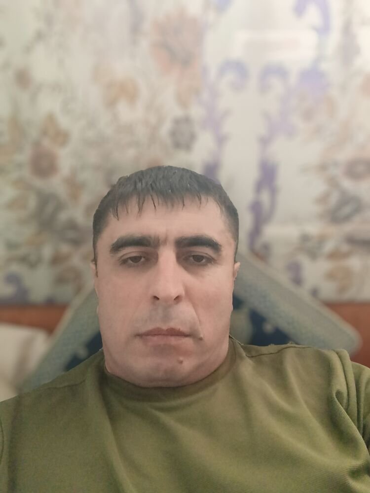  53871066  , 43 ,    -