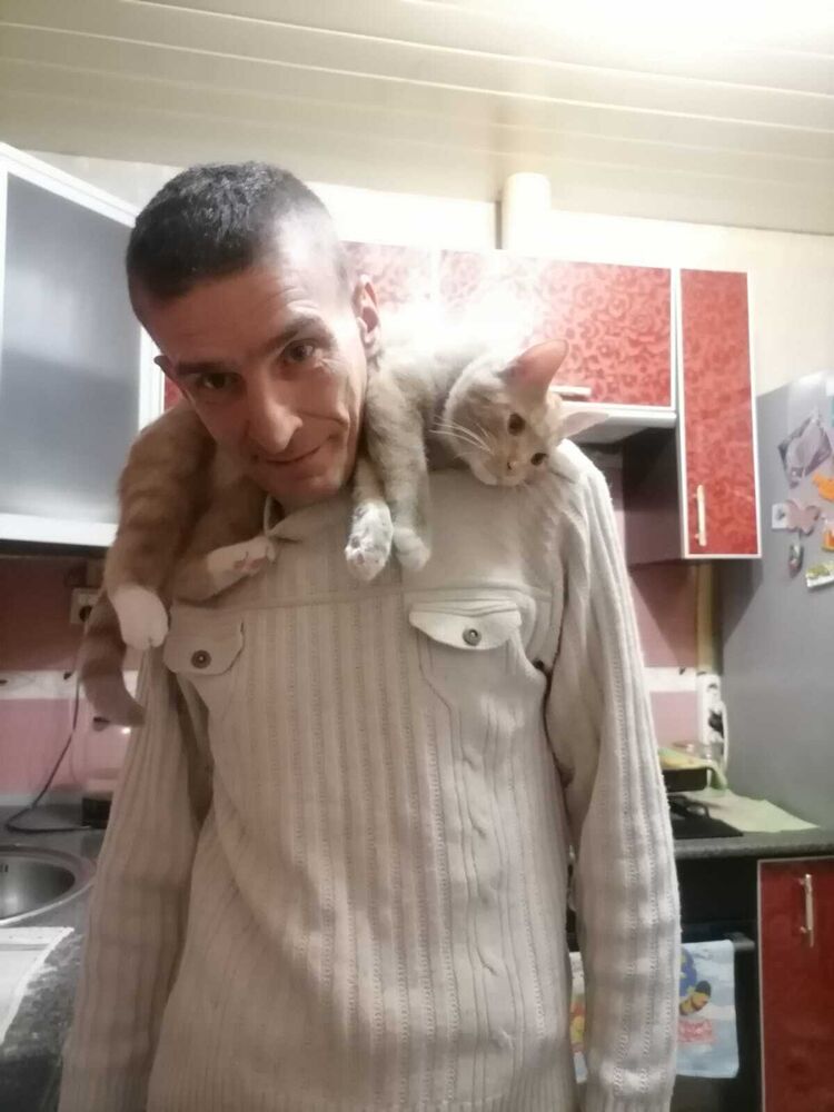 ���� 31975586 ������� ���������, 48 ���, ���� ���������� � ������