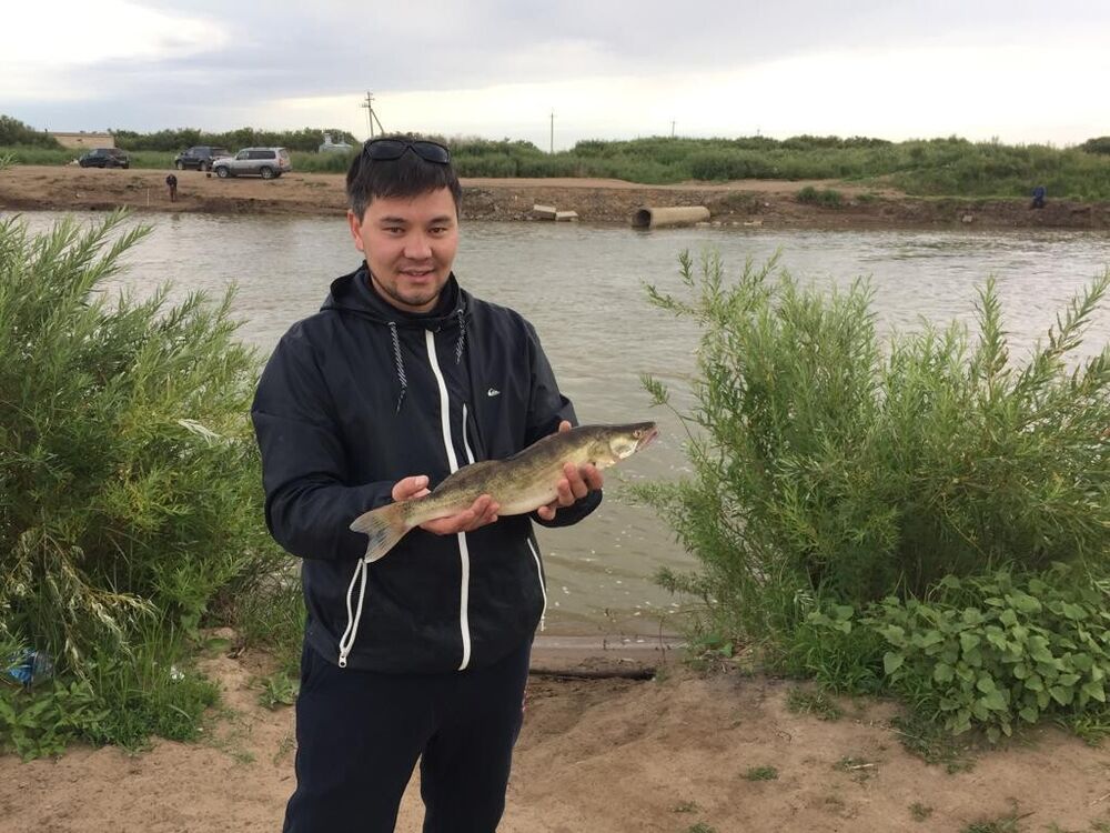 ���������� ������, ���� ������� �����, 34 ����, ������������ ��� ������, ����� � ���������, c�������� ���������