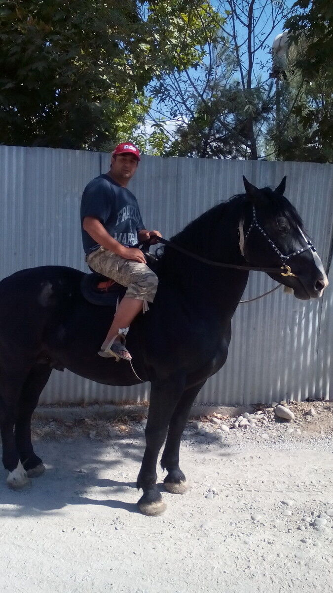  18595956  Fidanza, 38 ,    