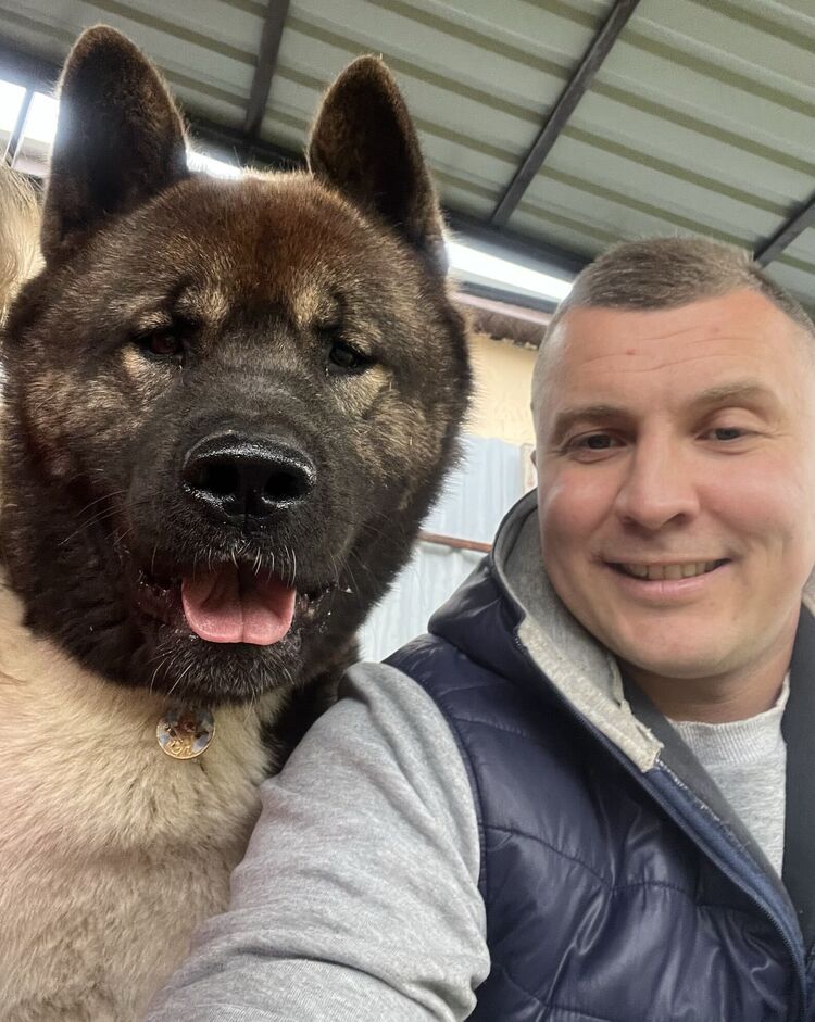 ���� 43301146 ������� ����������, 38 ���, ���� ���������� � �����������