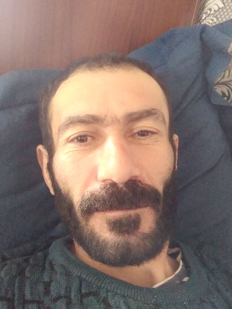  47830336  Zopo, 43 ,    