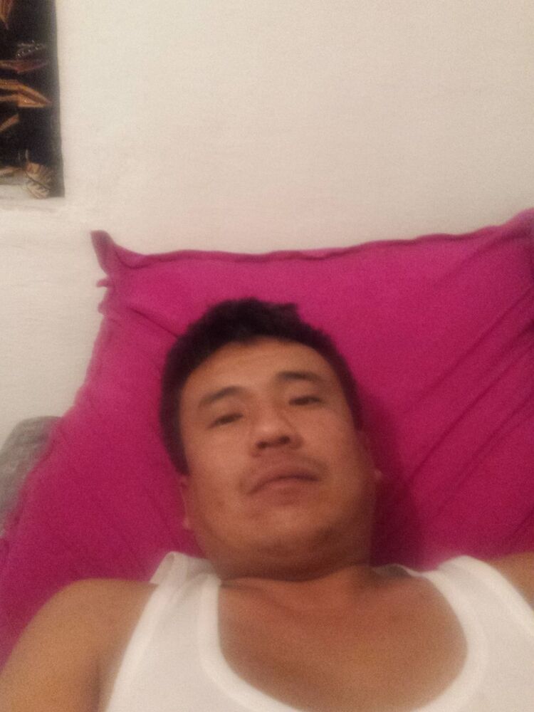  7296456  , 40 ,    