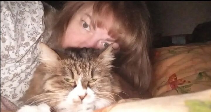 ���������� ������, ���� ������� �������, 53 ����, ������������ ��� ������, ����� � ���������, ���������