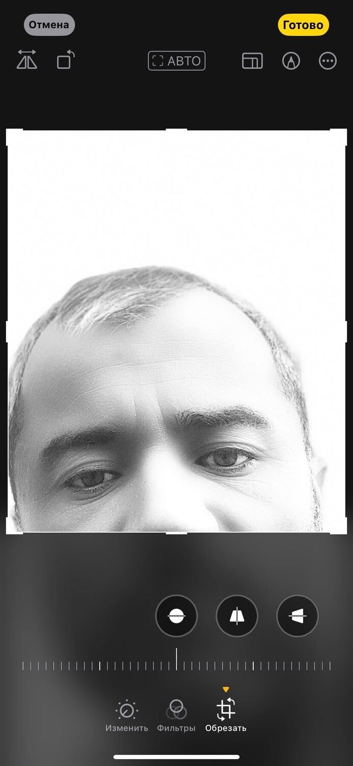  41071386  , 39 ,    