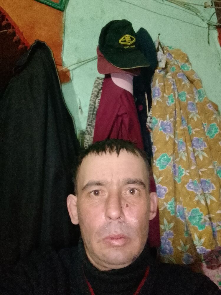  41605046  , 38 ,    