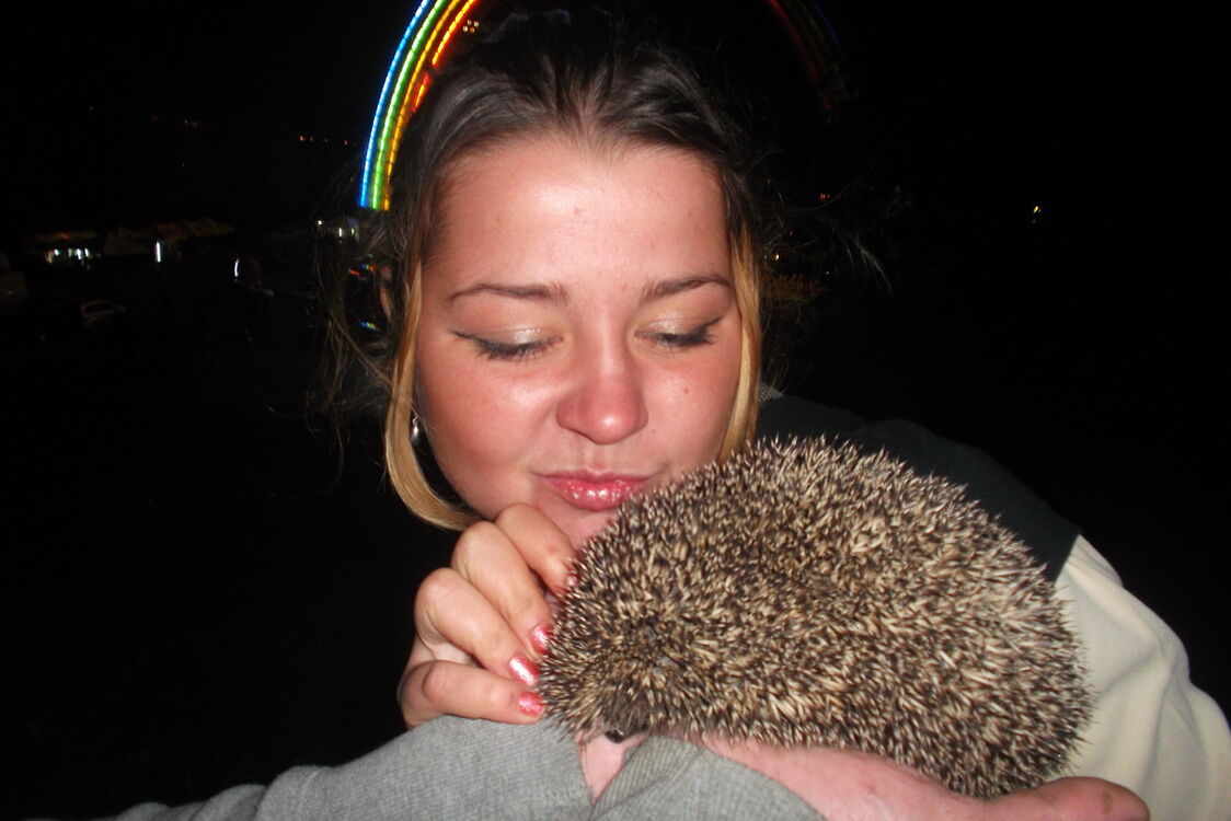 ���������� ����, ���� ������� ����, 38 ���, ������������ 