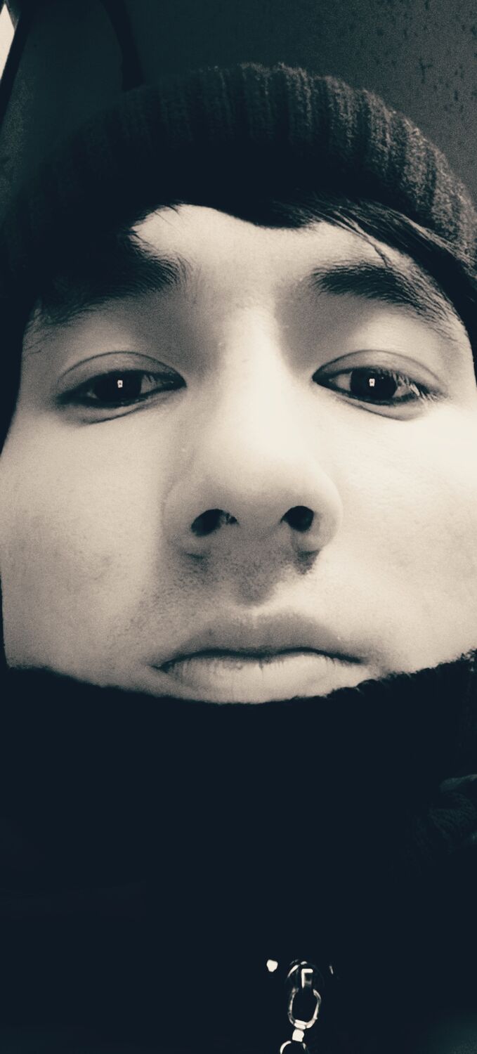  49956816  , 23 ,    