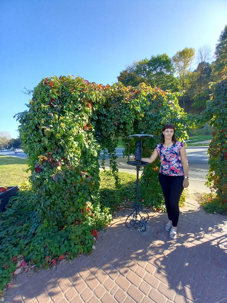 ���� 55821956 ������� �������, 36 ���, ���� ���������� � ��������